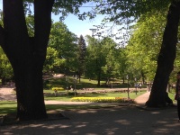 2016-05-12 15h52m05 - Riga - Park - Rob Eveleens